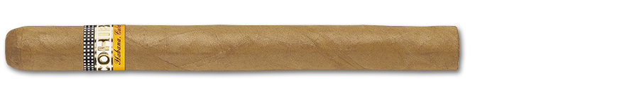 Siglo V