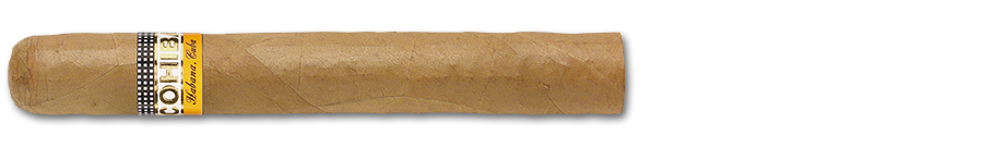 Siglo VI